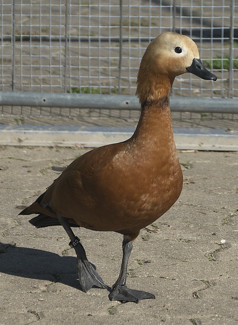 利位置