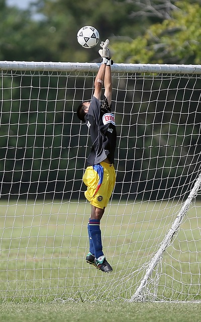 双方近况对 双方近况对