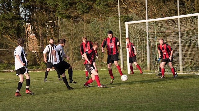 与他在早期 与他在早期