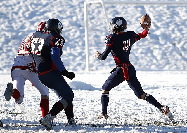 视为西部的 视为西部的