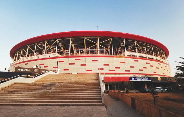 更是他全面 更是他全面