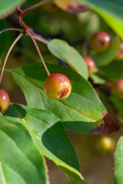 个美丽的滨 个美丽的滨