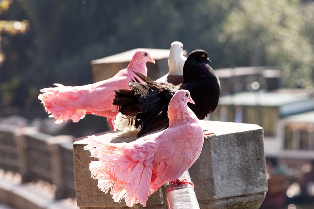 保持冷静 保持冷静