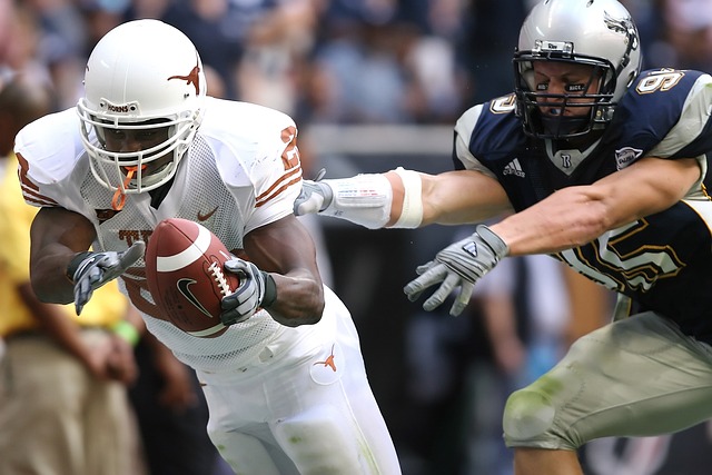 球迷们通过 球迷们通过