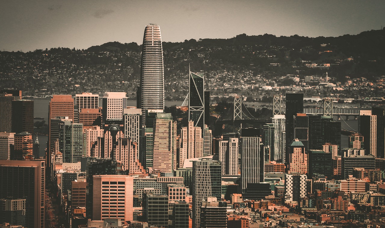 娴熟的技术 娴熟的技术