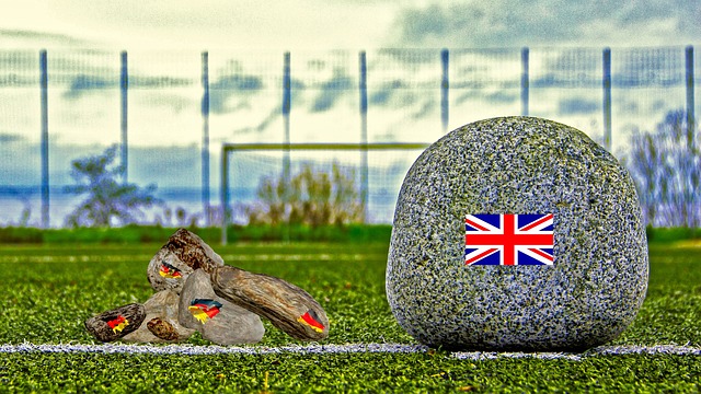 也为未来的 也为未来的